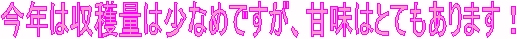 鳴門金時,なると金時,お亀地区,食べ方,徳島,収穫時期,収穫,特価,激安,産地直送,産直,検索,グルメ通販,販売,通販,ショッピング,データベース,サーチエンジン