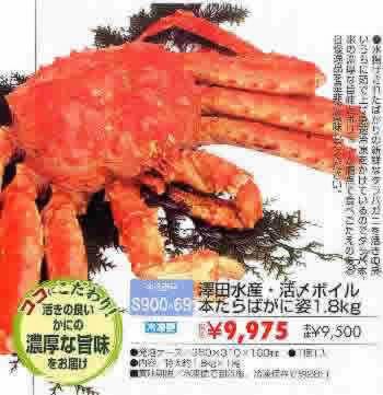 2006 お中元ギフト