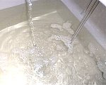 �V��,��,���{��,���Ď�,����,�H�c�̎�,�V����,���ڂ肽��