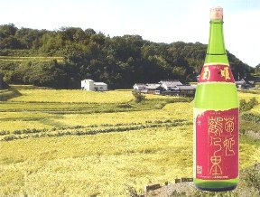 日本酒,菊姫,鶴乃里,鶴の里,きくひめ,さけ,山廃純米,酒,特価,激安,お買得,菊姫酒造,IWC,サケチャンピオン,sake,kikuhime,turunosato,蔵元,石川,検索,グルメ通販,ショッピング,データベース,サーチエンジン