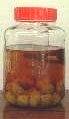 �~���̍���,�~��,����,�~���̑����,�~��p���{��,�~��p���Ď�,�~��p�Ē�,���_��,�I�B�암,�썂�~,���_��Ē�,�L�@�͔|,�ʔ�