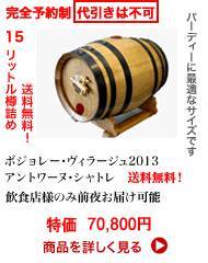 20/�A���g���[�k�V���g���Ѓ{�W�����[�ިװ�ޭ15L�M�l