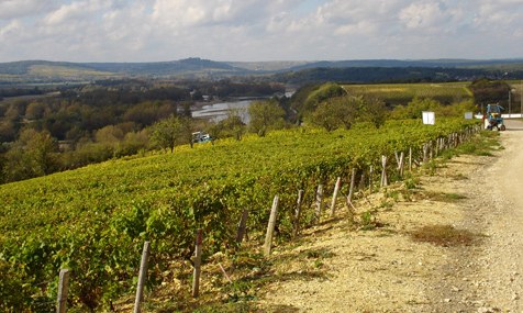 Domaine Jean Claude Chatelain,wine,Loire,h[kEWEN[hEVg,C,TZ[,[,tX,,,,Oʔ,VbsO,f[^x[X,T[`GW,