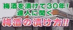 ~̍i~̑j