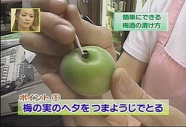 ~̍i~̑j