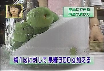 ~̍i~̑j