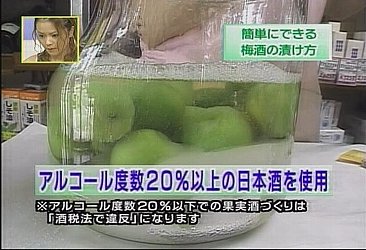 ~̍i~̑j