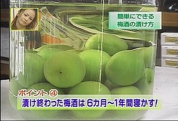 ~̍i~̑j