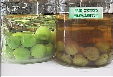 ~̍i~̑j