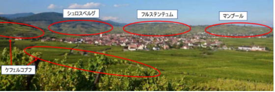 ワイン,ドメーヌ・モーリス・シューハ,アルザス,フランス,Maurice Schoech,wine,Alsace,特価,送料無料,検索,グルメ通販,ショッピング,データベース,サーチエンジン,